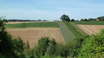 Conservation Grade Farm